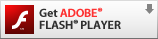 Download Flash-Player